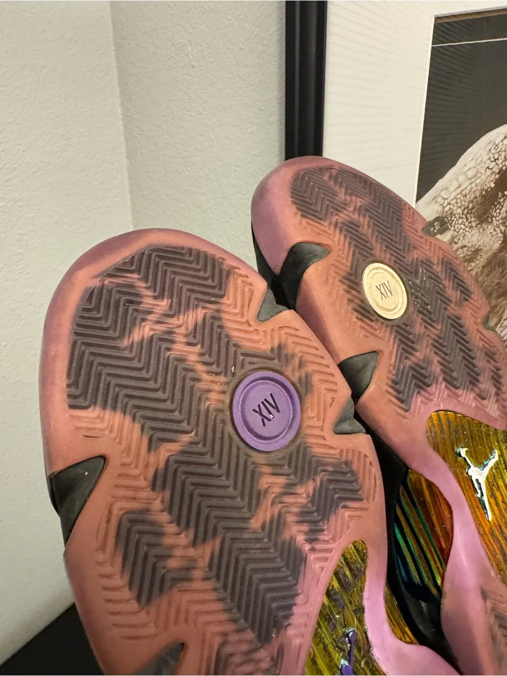 Air Jordan 14 Retro DB 2019 Doernbecher